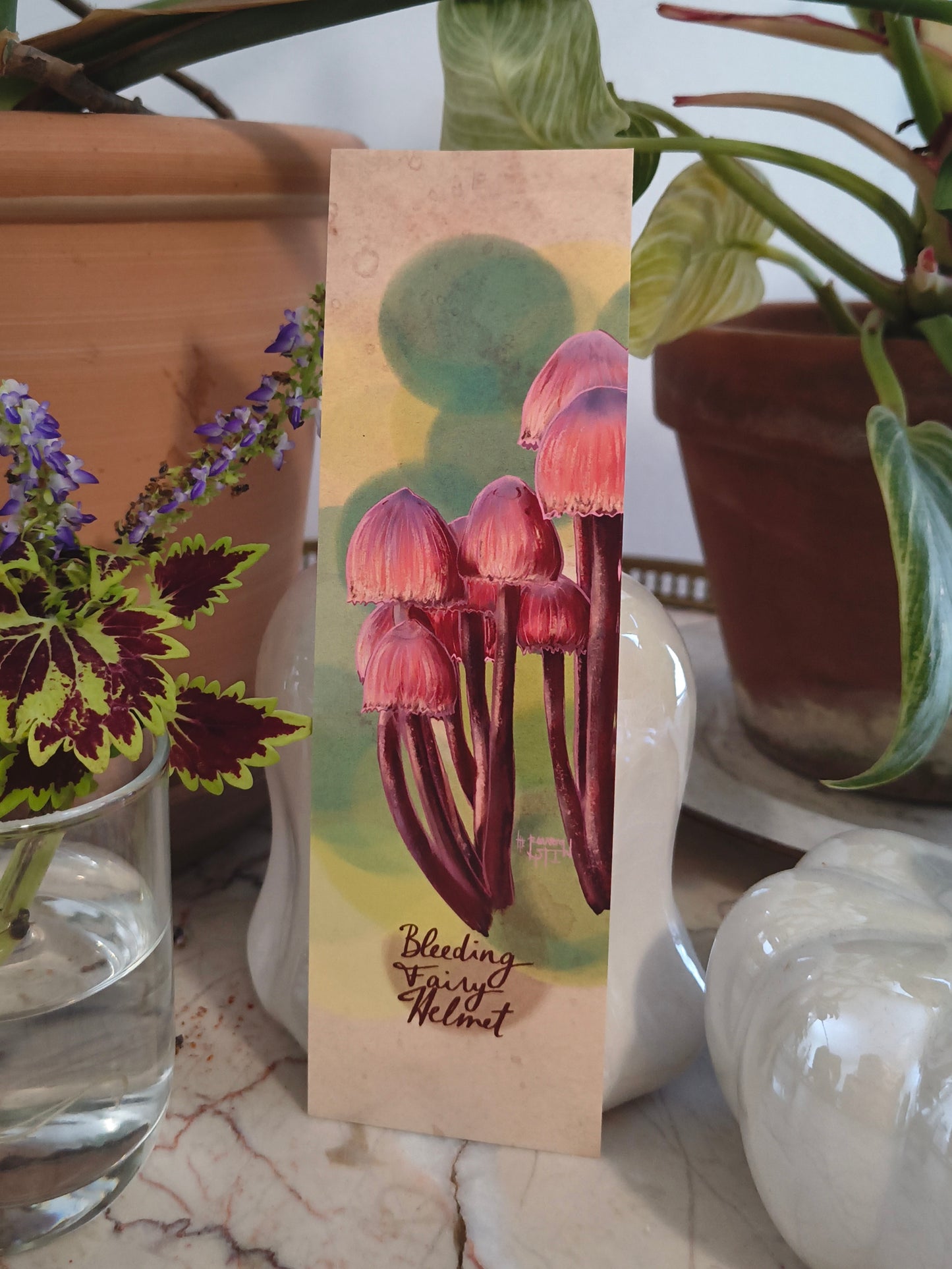 Marque-page Mycologie