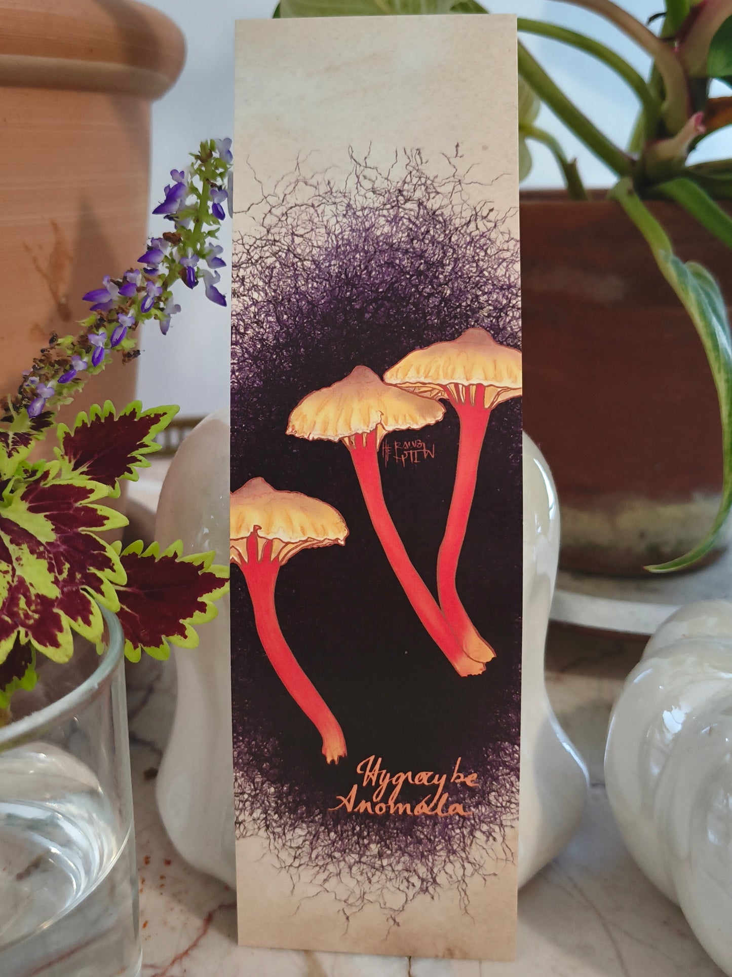 Marque-page Mycologie