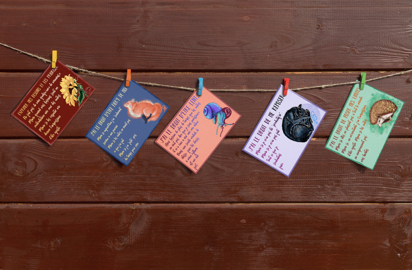 Pack 5 illustrations A5 "Droit au"